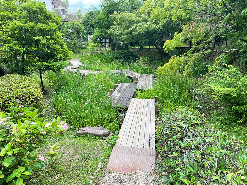 池田城跡公園 木道 花菖蒲園