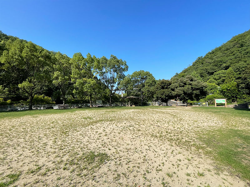 一庫唐松公園 芝生広場
