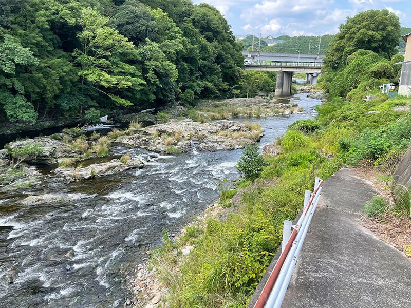 一庫大路次川沿いをお散歩
