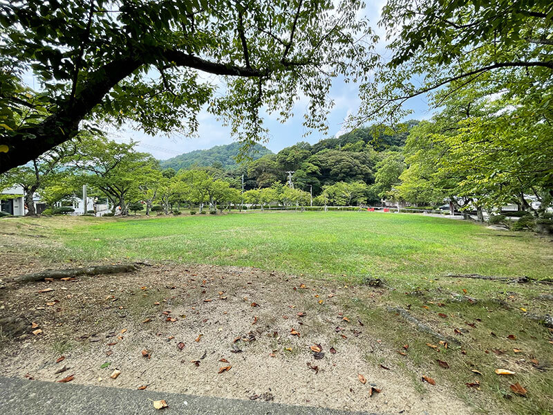 小浜公園 芝生広場 桜