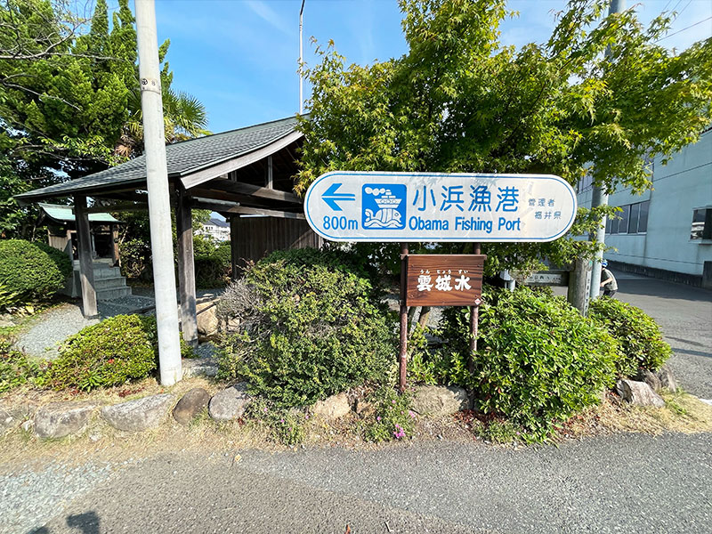 小浜城跡から小浜漁港方面（若狭フィッシャーマンズ・ワーフ）へ