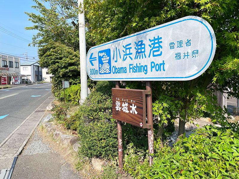小浜城跡から小浜漁港方面へ