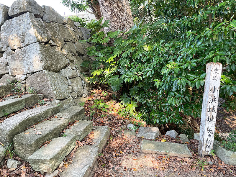 小浜城跡について