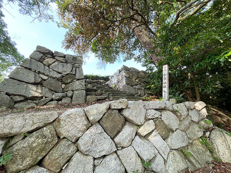 小浜城の石垣 見どころ