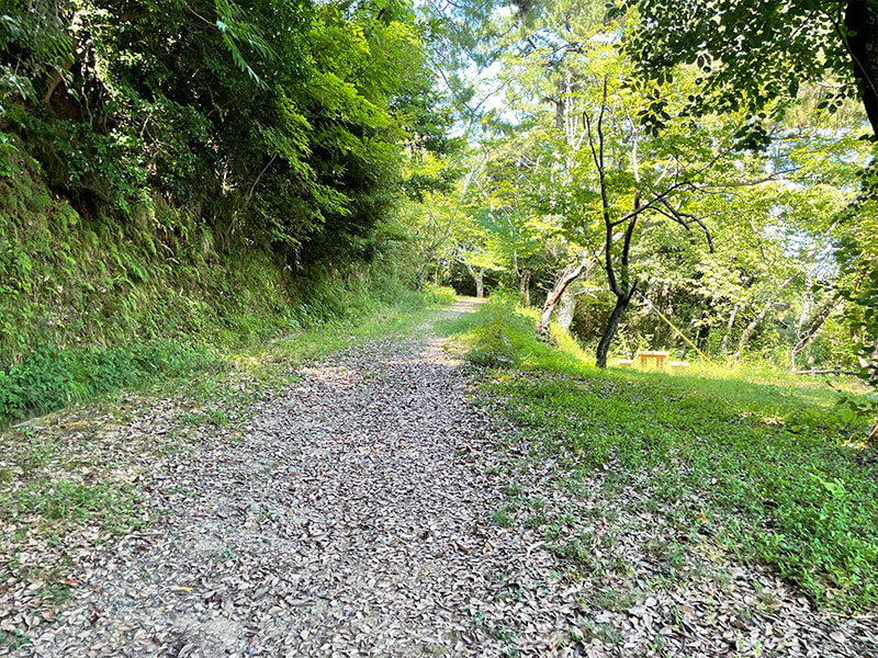 高浜城山灯台へ続く遊歩道