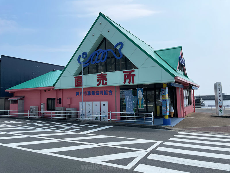 垂水漁港 直売所