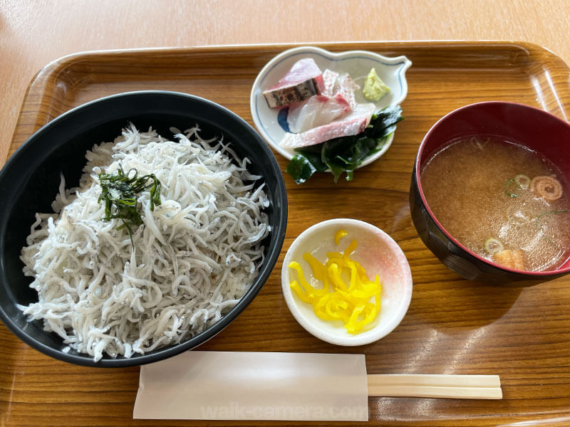 垂水漁港食堂でランチ(釜揚げしらす丼とお刺身)